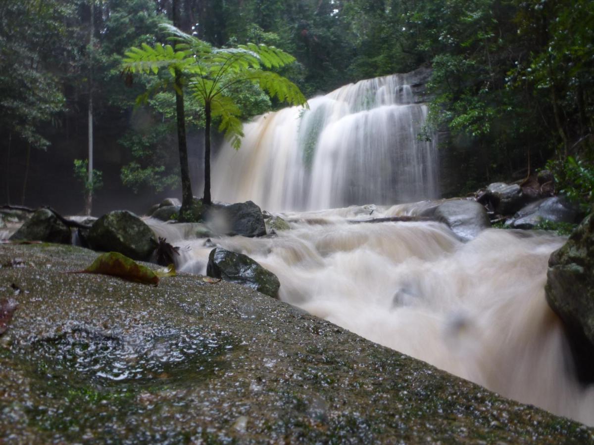 Buderim Forest Hideaway Екстериор снимка