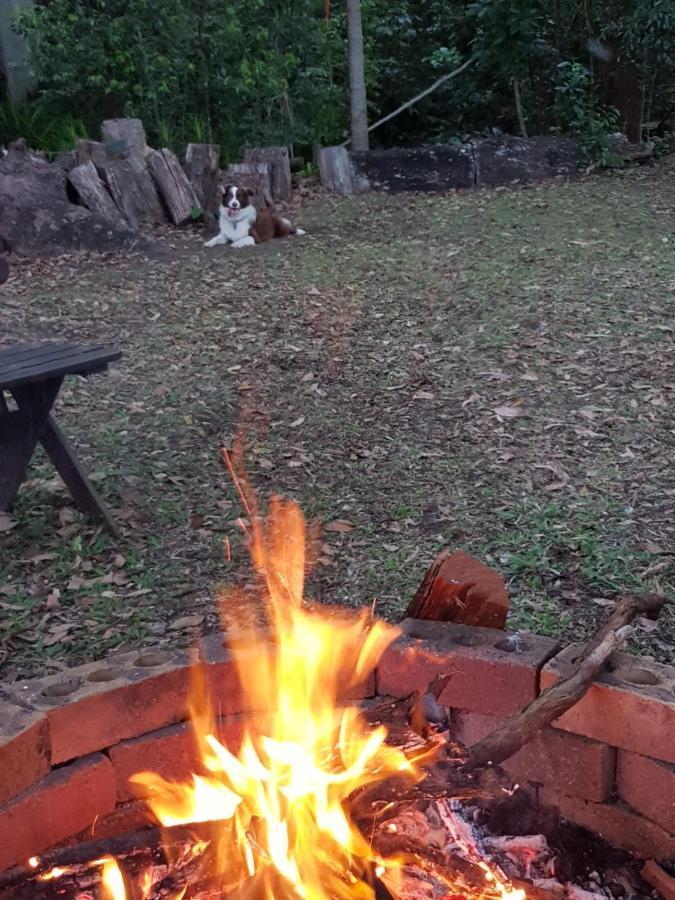 Buderim Forest Hideaway Екстериор снимка