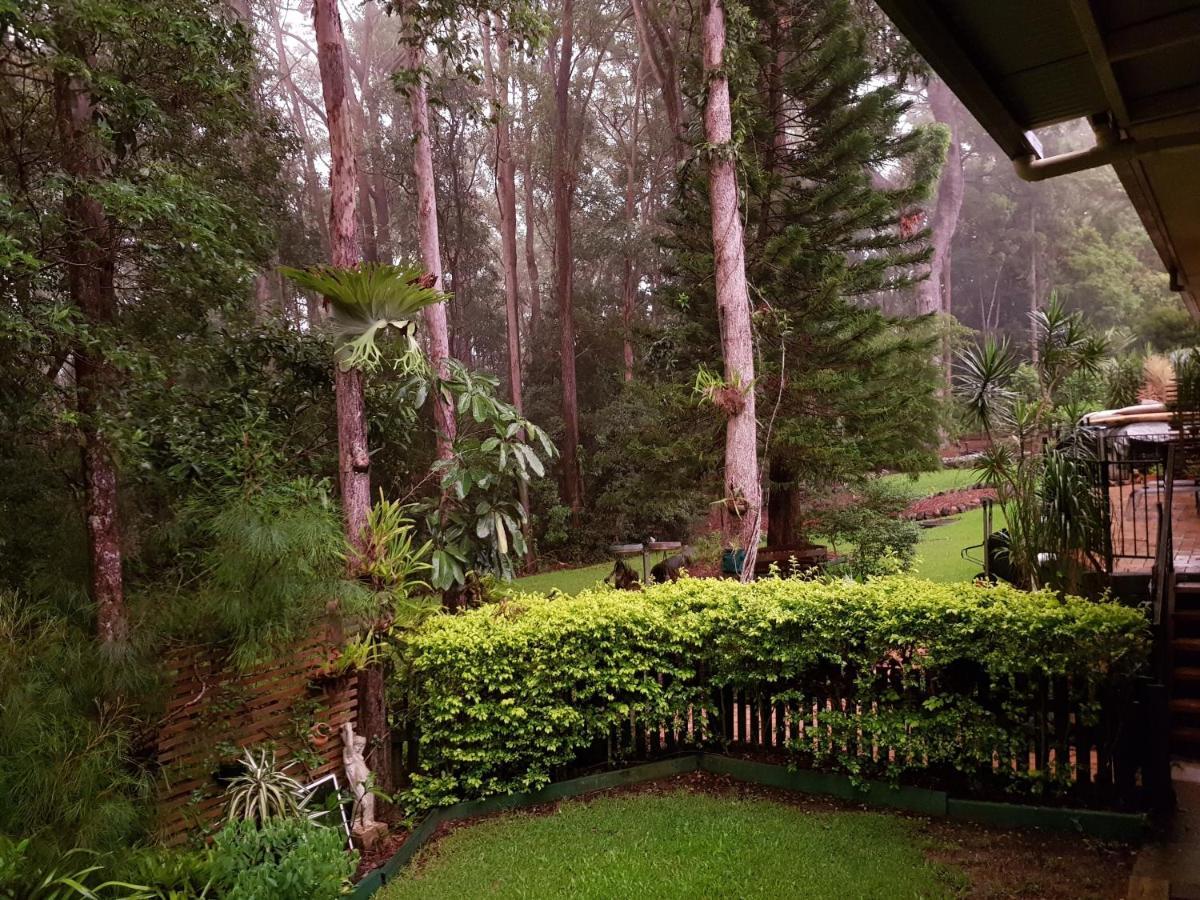 Buderim Forest Hideaway Екстериор снимка